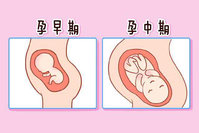 子宫内膜厚度适中适合怀孕